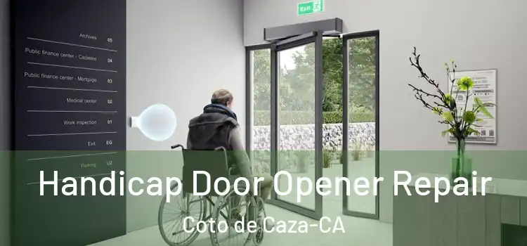 Handicap Door Opener Repair Coto de Caza-CA