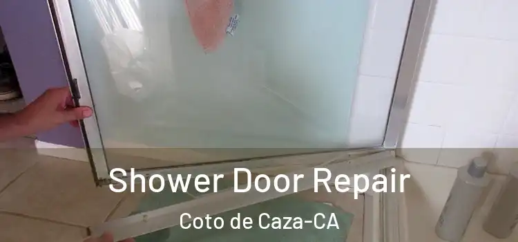 Shower Door Repair Coto de Caza-CA